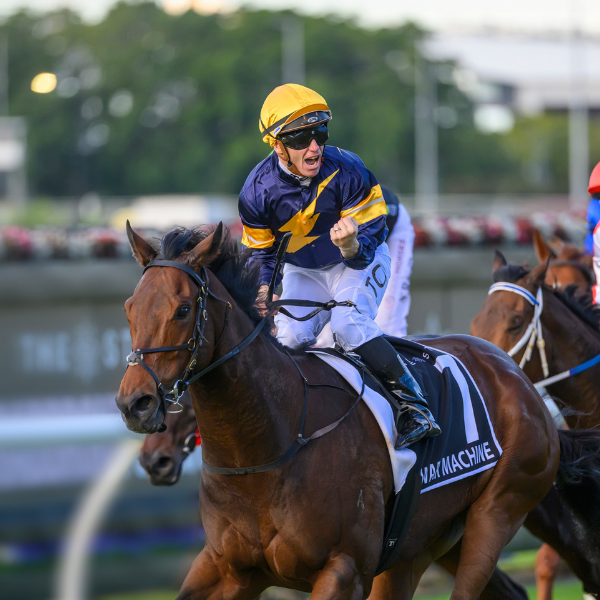 Stradbroke Day 2026_Temp web tile